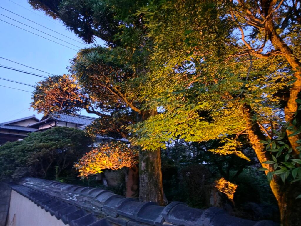 ことぶきや庭園ライトアップ画像