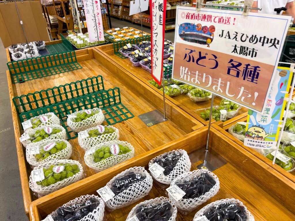 さいさいきて屋で販売されていたブドウたち