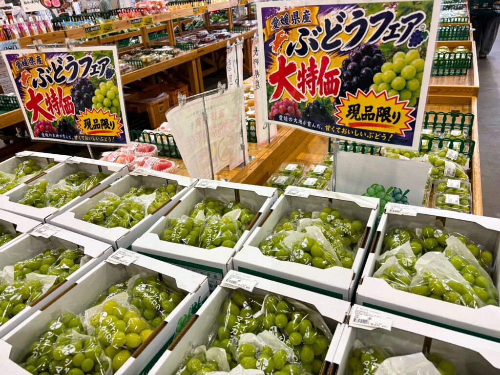 さいさいきて屋で開催中のぶどう大特価
